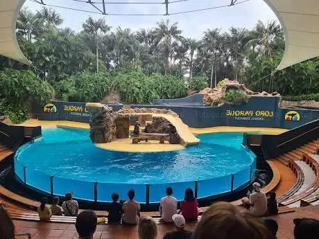 Photo de Planet Penguin