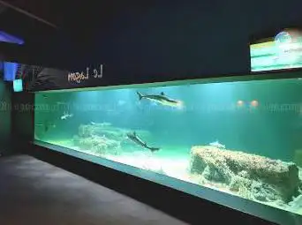 Photo de Aquarium de Vendée