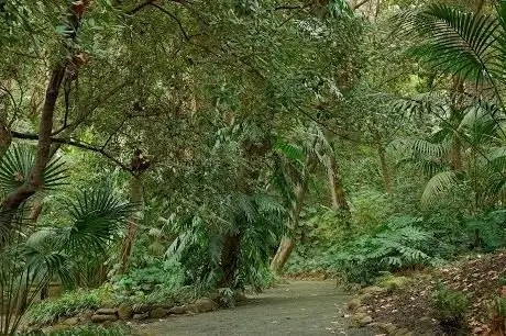Photo de Jardin Botanique Historique La Concepción