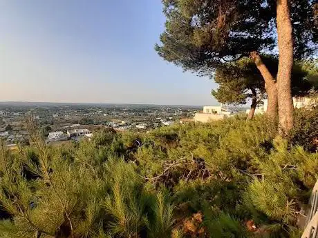 Photo de Pineta Comunale