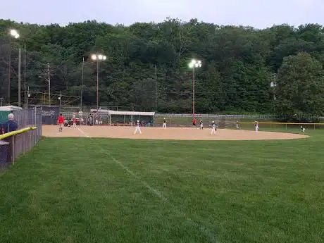 Photo de Boro field