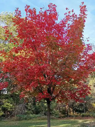 Photo de Bronx Park
