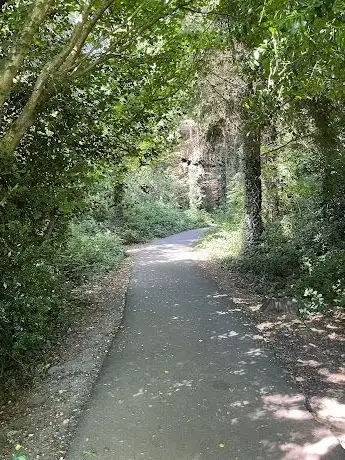 Ramsfort woods