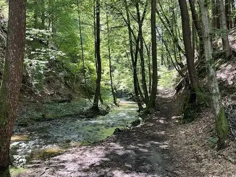 Photo de Teufelsgraben