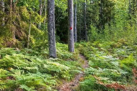Photo de Käringboda