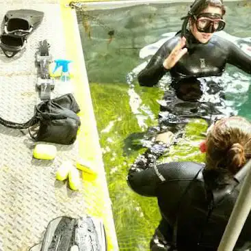 Photo de The Fifth Point Diving Centre