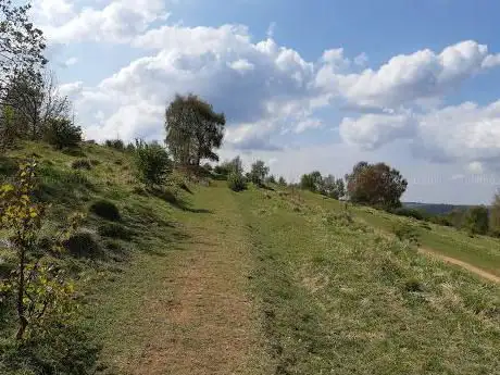 Photo de Rudge Hill Nature Reserve