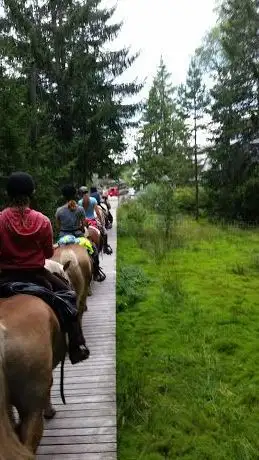 Photo de Engelhof Reiten