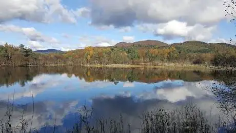 Photo de Scottish Wildlife Trust - Loch of the Lowes Visitor Centre & Wildlife Reserve