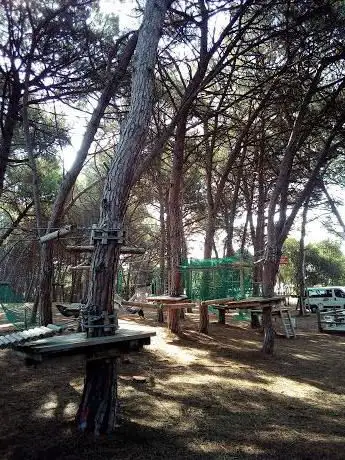 Photo de Park Adventure Bosco Isola