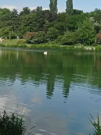 Photo de Schwanensee
