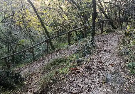 Photo de Sentiero n. 16 del Monte Rosso