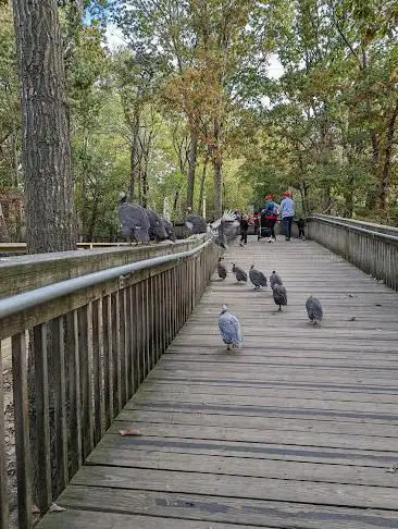 Photo de Cape May County Park & Zoo
