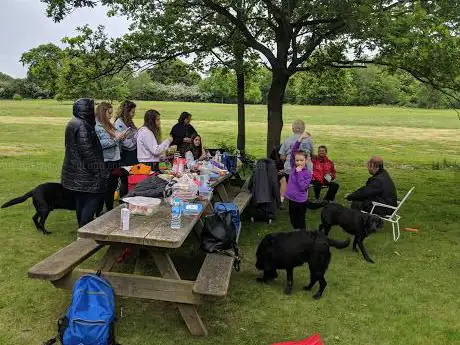 Photo de Danbury Country Park