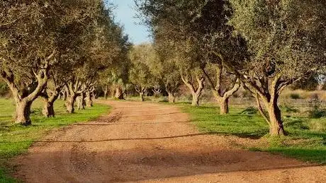Photo de Bird Observatory