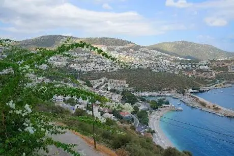 Photo de Candan Koyu