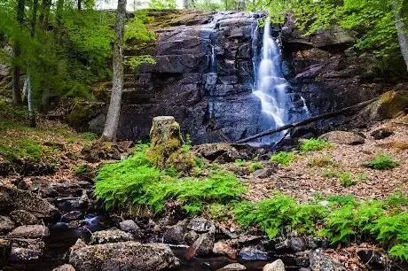 Photo de The waterfall in Albäck