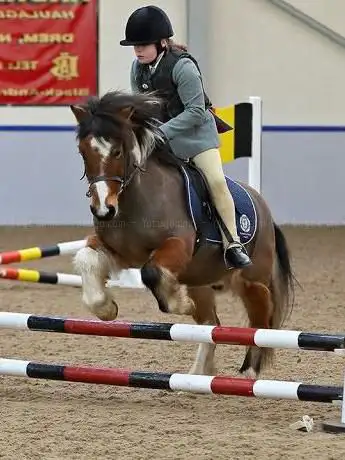 Photo de Kirkettle Farm Livery Yard