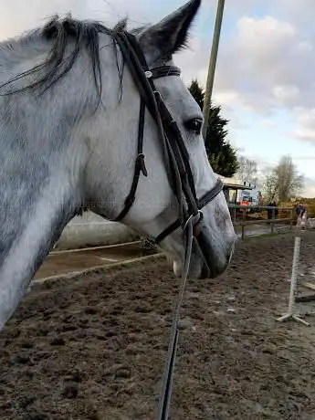 Photo de Haras du Grand Clos