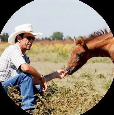Photo de Nature et découverte de la Camargue en 4x4