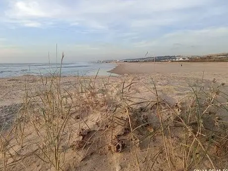 Photo de Praia da Costa da Caparica