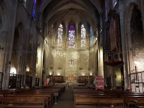 Photo de Basílica de Santa Maria del Pi