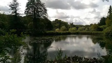 Photo de Nysdam Nature Reserve