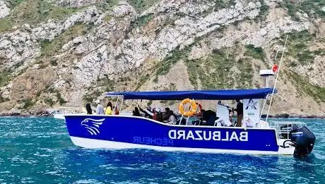 Photo de Balbuzard Pêcheur Al Hoceima