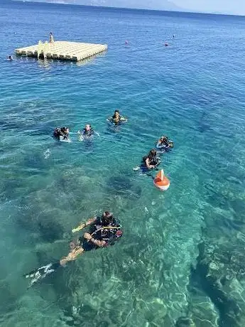 Photo de BİLYAZ Diving Center