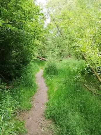 Photo de Zaufensgraben