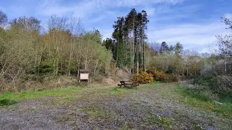 Photo de Kildoon Woods