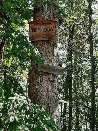 Photo de Kreuzeiche