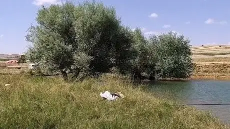 Photo de Yazlıca Pond