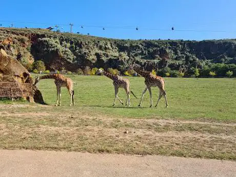 Photo de Parc de la nature de Cabárceno