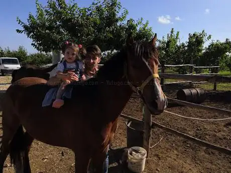Photo de Little Ranch