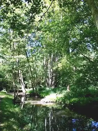 Photo de GR Saint Jacques de Compostelle