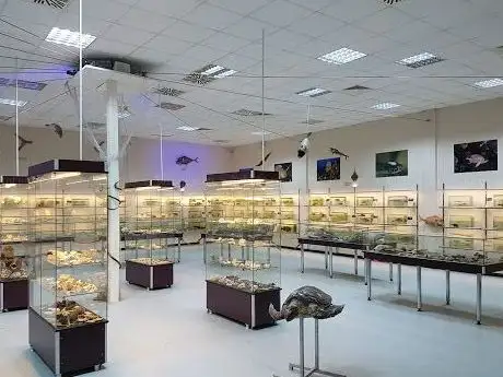 Photo de İzmir Kâtip Çelebi Üniversitesi Su Ürünleri Fakültesi Deniz Canlıları Koleksiyon Merkezi
