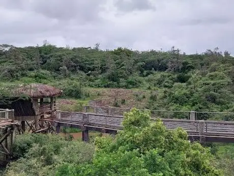 Photo de Nairobi Safari Walk