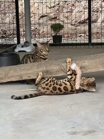 Photo de ALTIN ÇİFTLİĞİ