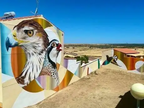 Photo de MURAL AVES PROTEGIDAS DE LA RESERVA