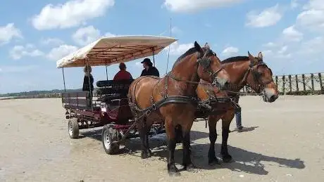 Photo of Ferme équestre La Bredaine
