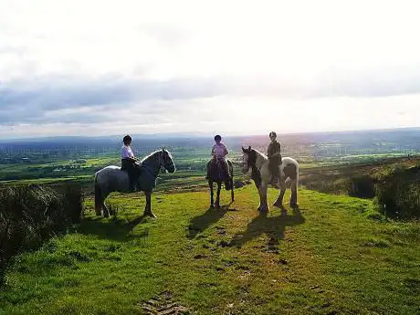 Sheans Horse Farm