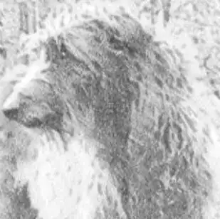 Photo de Kino dvorana Bedekovčina