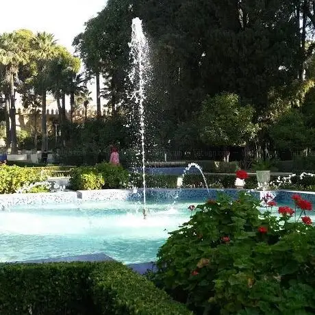 Photo de حمام رياض