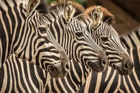 Photo of Zoo de Ljubljana