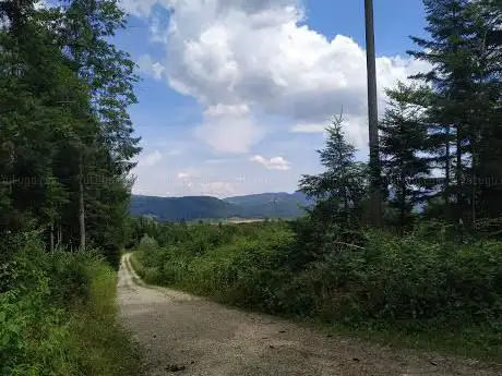Photo de Hochwacht