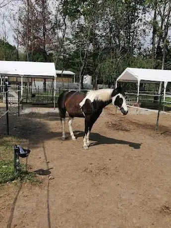 Photo de Grace Ranch