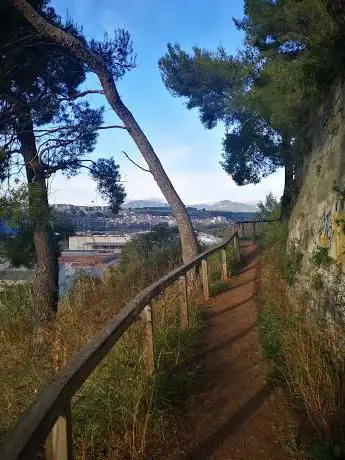 Photo de Mirador de la bassa