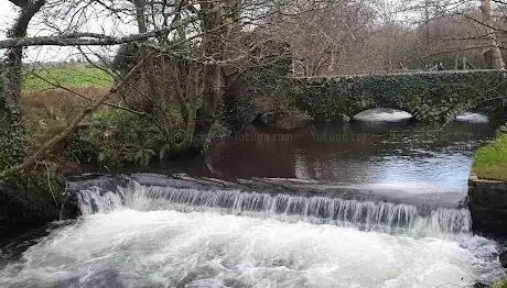 Photo de Curraheen Public Walk