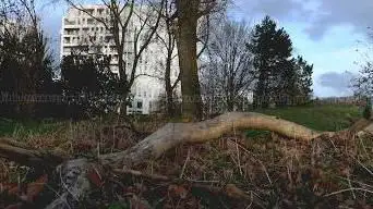 Photo de Belvédère - Friche Saint Sauveur